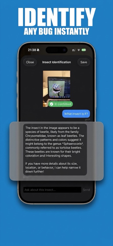 Insect ID app identifying a beetle from a photo with AI chat results