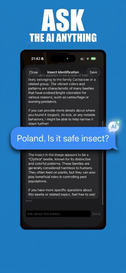 Ask the AI anything about the identified insect in chat