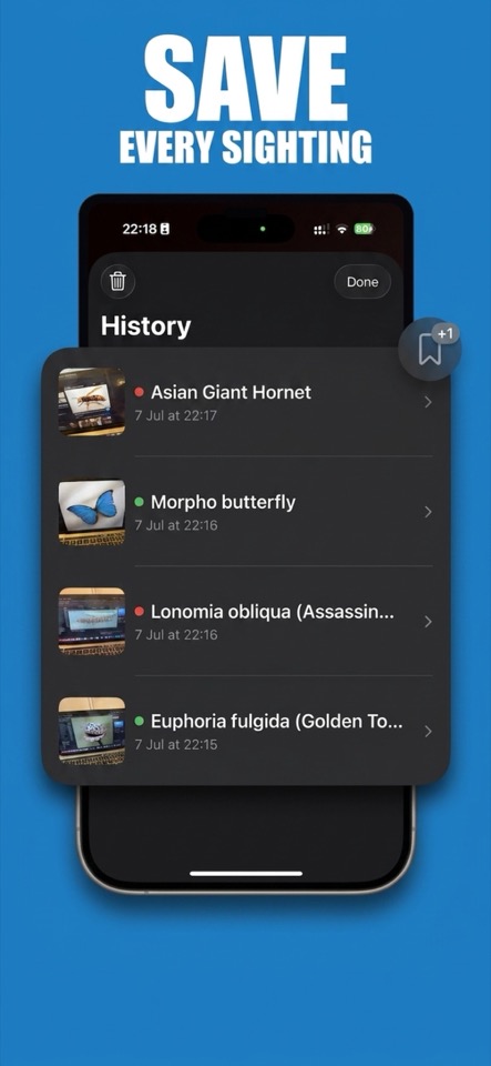 Save every insect sighting to your identification history